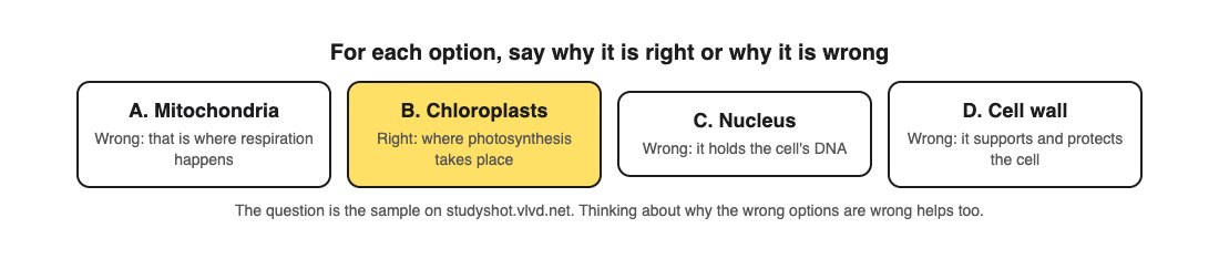 A multiple-choice question about where photosynthesis takes place, with a short reason beside each of the four options explaining why it is right or wrong