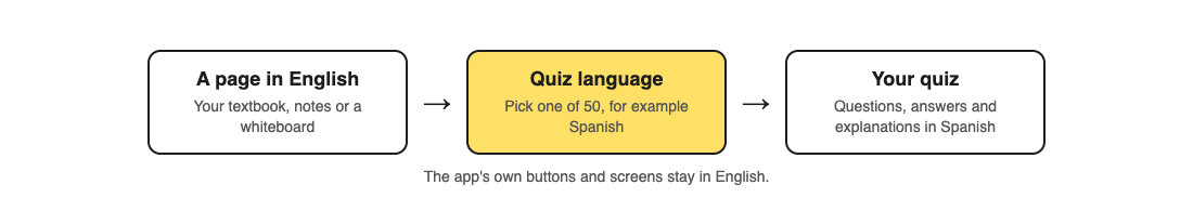 A page in English becomes a quiz in a chosen language, for example Spanish, with the questions, answers and explanations in that language while the app's screens stay in English
