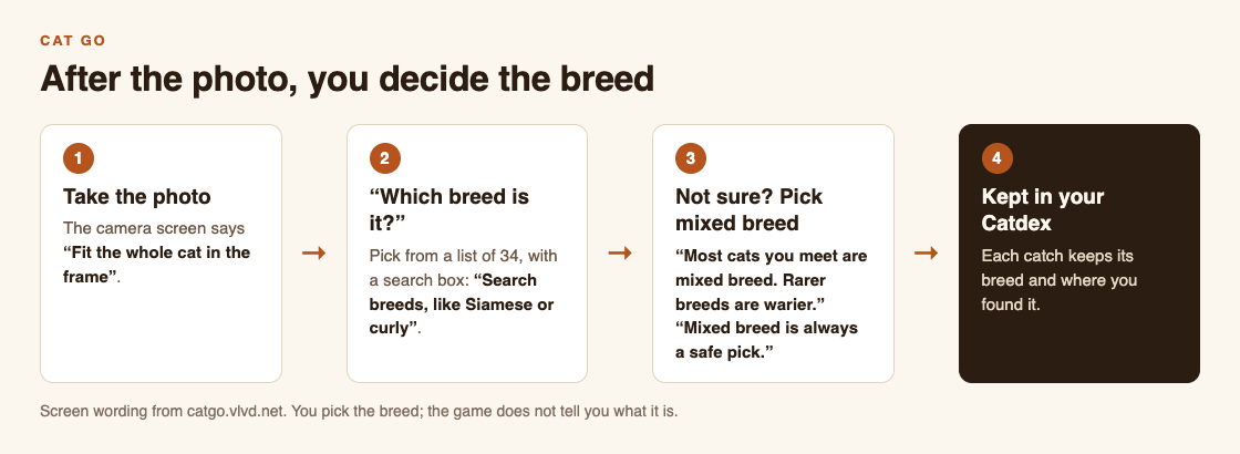 Diagram of the Cat Go breed step: take the photo, answer which breed is it, pick mixed breed if unsure, keep it in the Catdex