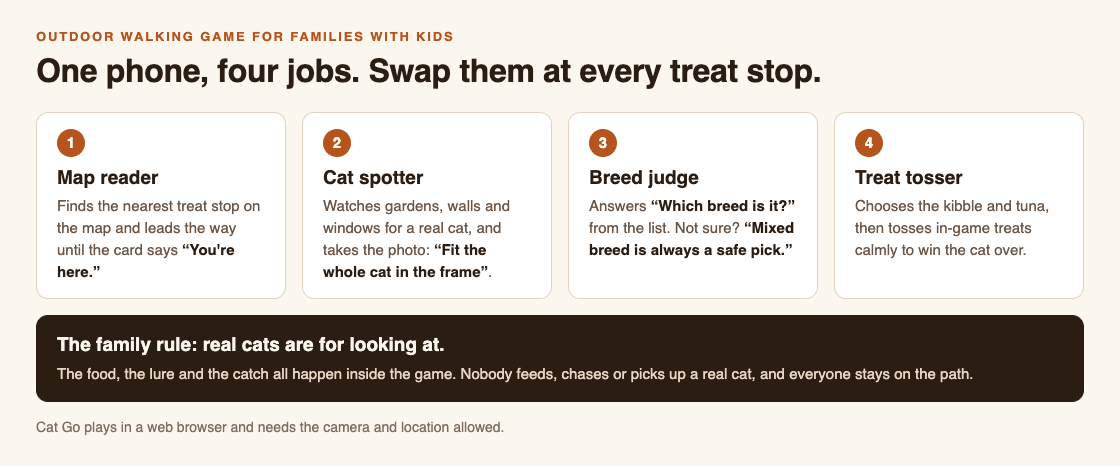 Diagram of four family jobs on a Cat Go walk: map reader, cat spotter, breed judge and treat tosser, with the rule that real cats are only looked at