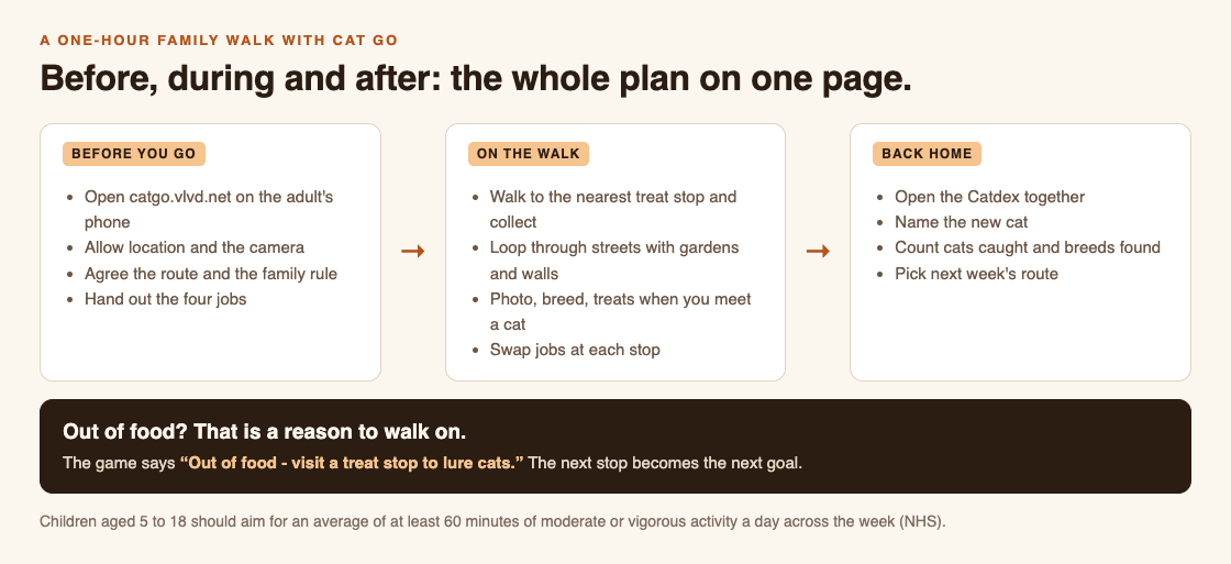 Diagram of a one-hour family walk plan with Cat Go: before you go, on the walk, and back home