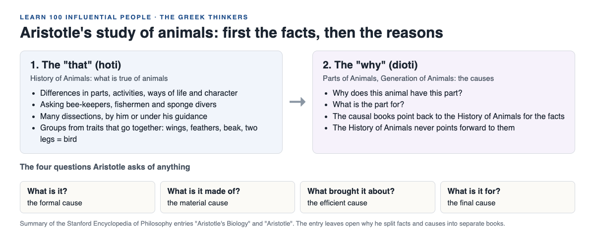 Diagram of Aristotle's two stages, the facts in the History of Animals then the causes, with his four causes below