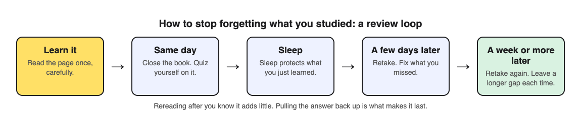 A diagram of a review loop: learn the page, quiz yourself the same day, sleep, retake a few days later, then retake a week or more later