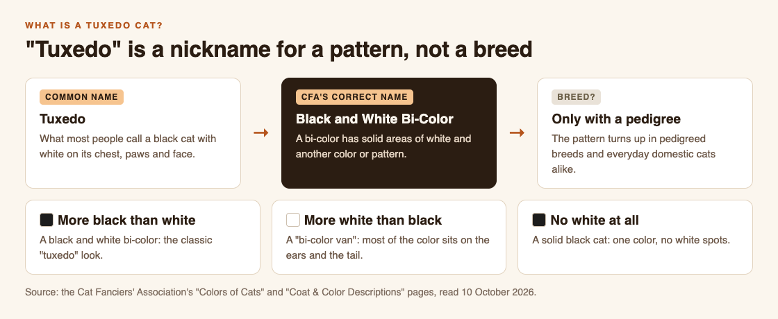 Diagram showing that tuxedo is the common name for the Black and White Bi-Color pattern, compared with a bi-color van and a solid black cat