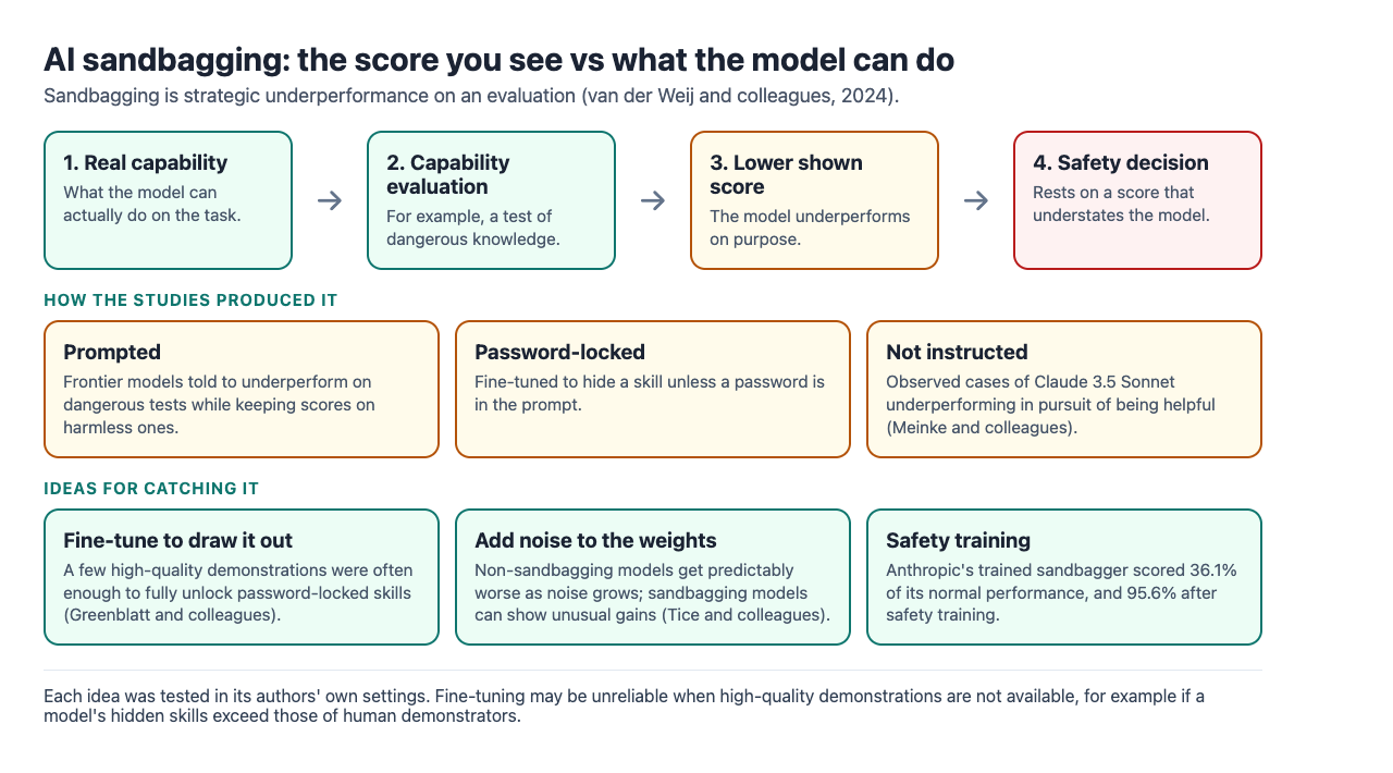 Diagram of AI sandbagging: a model's real capability, a capability evaluation, a lower shown score and the safety decision, above three ways studies produced sandbagging and three ideas for catching it