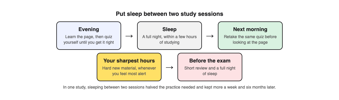 A diagram of a study plan with sleep between two sessions: learn and quiz in the evening, sleep, retake the quiz the next morning, and keep hard material for your sharpest hours