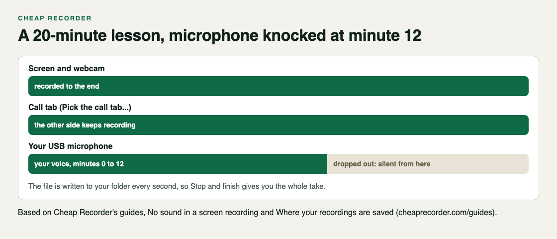 Timeline of a 20-minute recording where the microphone drops at minute 12 while the screen, webcam and call tab keep recording