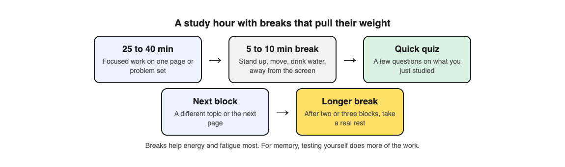 A diagram of a study hour: focused work, a short break away from the screen, a quick quiz, the next block, then a longer break after two or three blocks