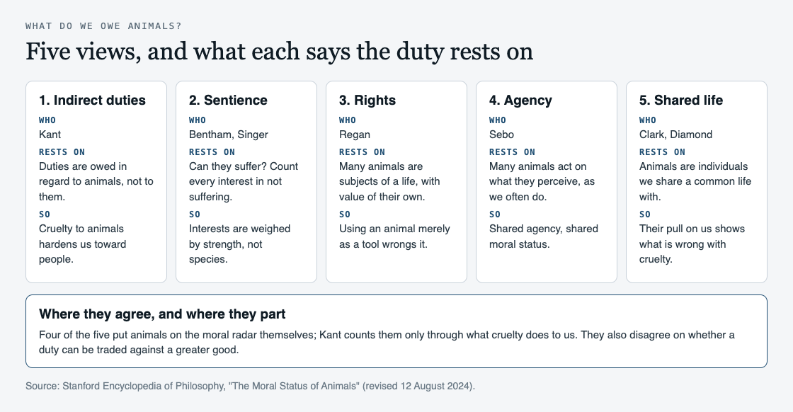 Diagram of five views on what we owe animals, from indirect duties to shared life, with what each says grounds the duty