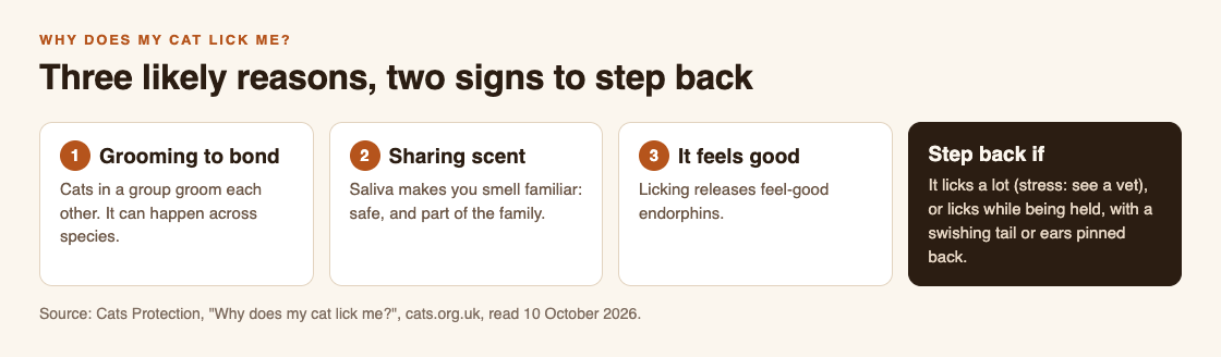 Diagram of three reasons a cat licks you from Cats Protection: grooming to bond, sharing scent to mark you as family, and feel-good endorphins, plus two signs to step back