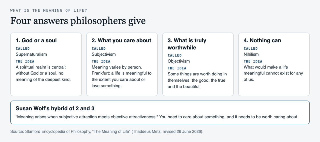 Diagram of four answers to what gives life meaning: God or a soul, what you care about, what is truly worthwhile, and nothing can, with the main idea of each