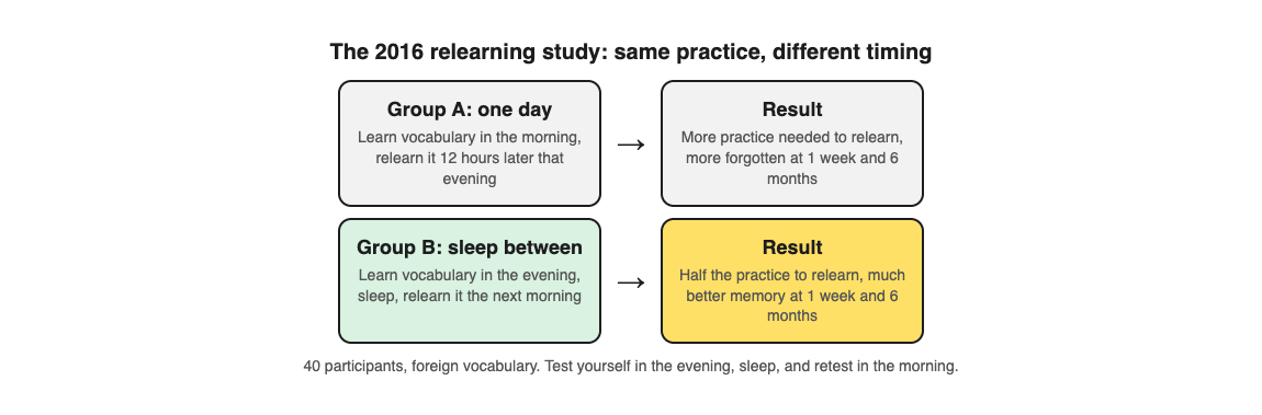 Diagram of the 2016 relearning study: learning, then sleep, then relearning needed half the practice and lasted longer
