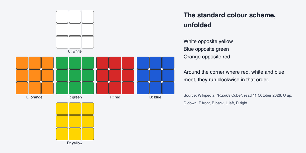 An unfolded cube showing the standard colour scheme: white top, yellow bottom, green front, blue back, orange left, red right