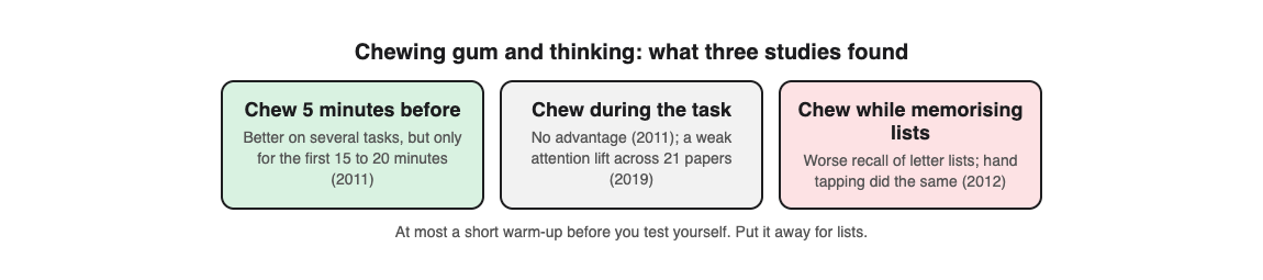 Diagram of chewing gum timing: chewing before a task gave a short lift, chewing during a task did not help, and chewing hurt list memory