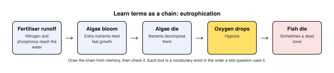 Diagram of the eutrophication chain: fertiliser runoff, algae bloom, decomposition, low oxygen, fish die