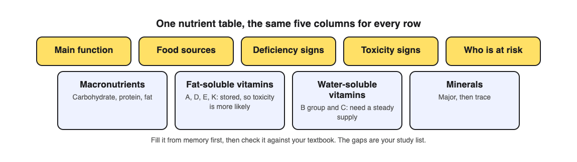 Diagram of a nutrient master table with five columns and rows grouped into macronutrients, fat-soluble vitamins, water-soluble vitamins and minerals