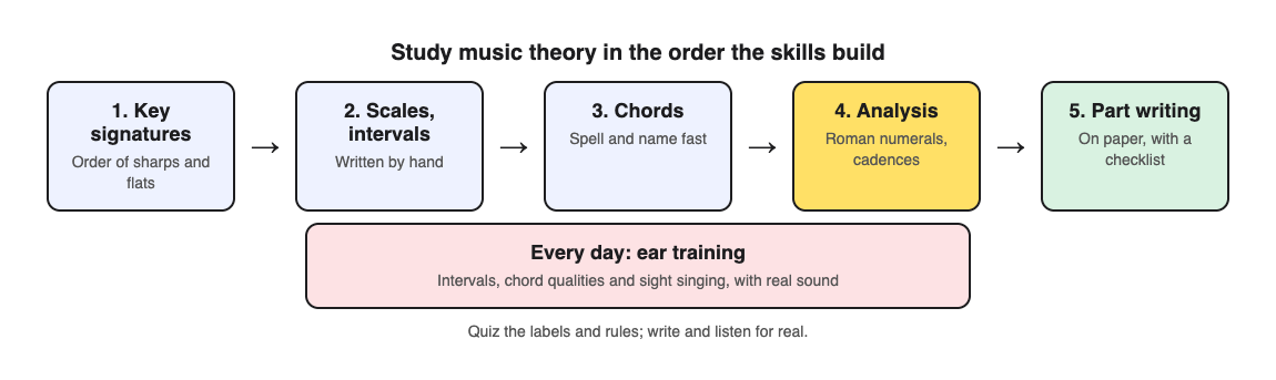 Diagram of the music theory study order: key signatures, scales and intervals, chords, analysis, part writing, with daily ear training