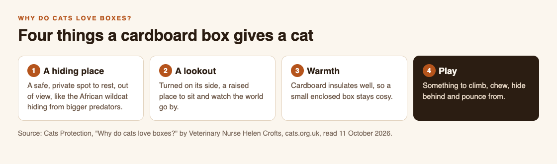 Diagram of four things a cardboard box gives a cat according to Cats Protection: a hiding place, a lookout, warmth and play