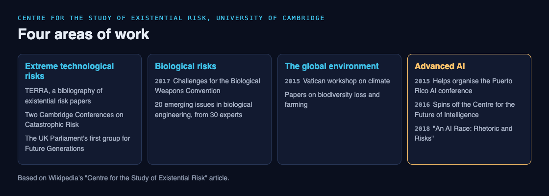 Diagram of CSER's four areas of work: extreme technological risks, biological risks, the global environment and advanced AI, with examples from each