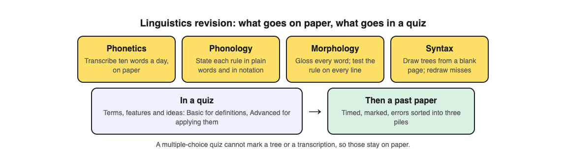Diagram of linguistics study by part of the course: transcription, rules, glosses and trees on paper, and terms and ideas in a quiz, with a past paper at the end