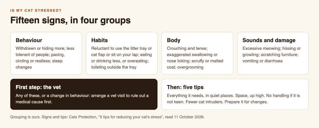 Diagram of fifteen signs of stress in a cat in four groups, behaviour, habits, body, and sounds and damage, with the vet as the first step and five tips to help
