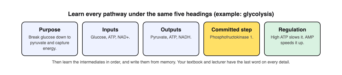Diagram of five headings for learning a pathway, using glycolysis: purpose, inputs, outputs, the committed step phosphofructokinase 1, and its regulation by ATP and AMP
