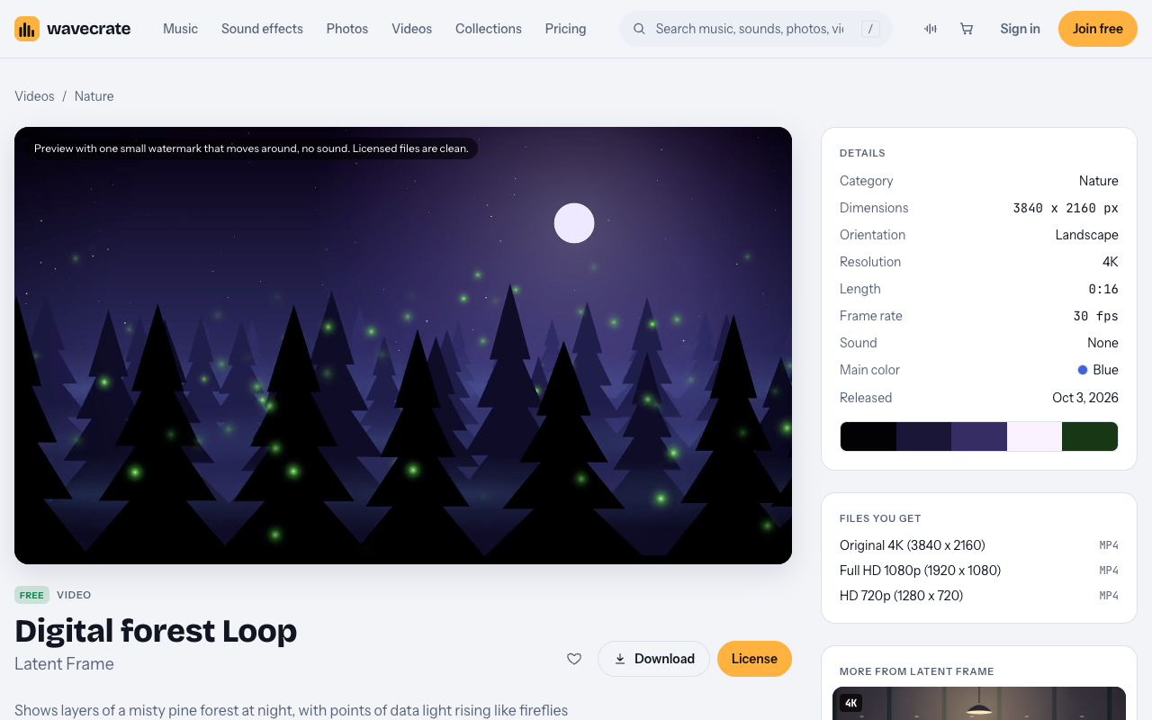 Digital forest Loop video page on Wavecrate, marked Free, with its 4K details