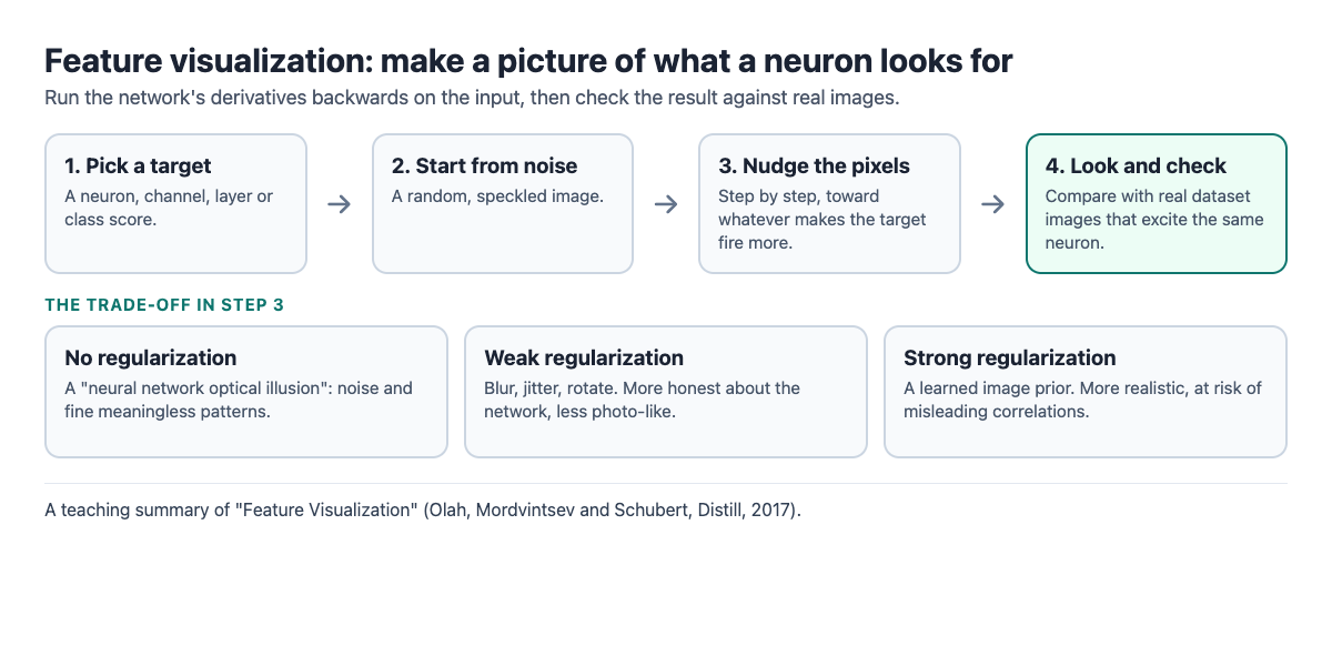 Diagram of feature visualization by optimization: start from noise, nudge pixels to excite a neuron, add regularization, compare with dataset examples