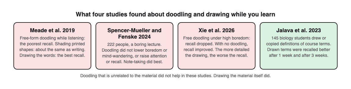 Diagram summarising four studies: free doodling gave poorer recall in Meade 2019, Spencer-Mueller and Fenske 2024 and Xie 2026, while drawing course terms helped recall after 1 and 3 weeks in Jalava 2023