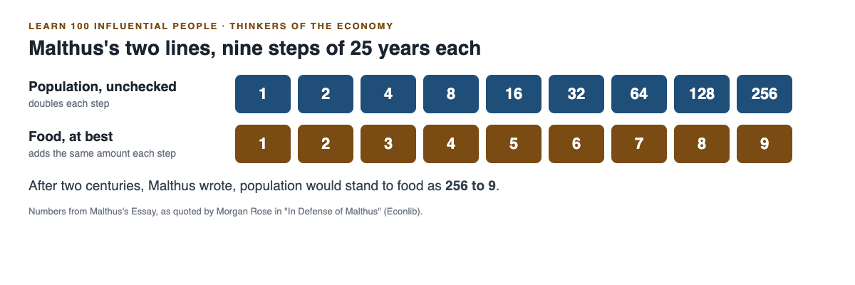 Two rows of numbers showing population doubling to 256 while food adds one each step to 9