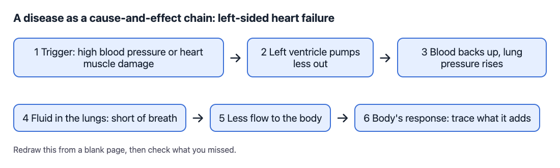 Diagram of left-sided heart failure as a chain of six cause-and-effect steps