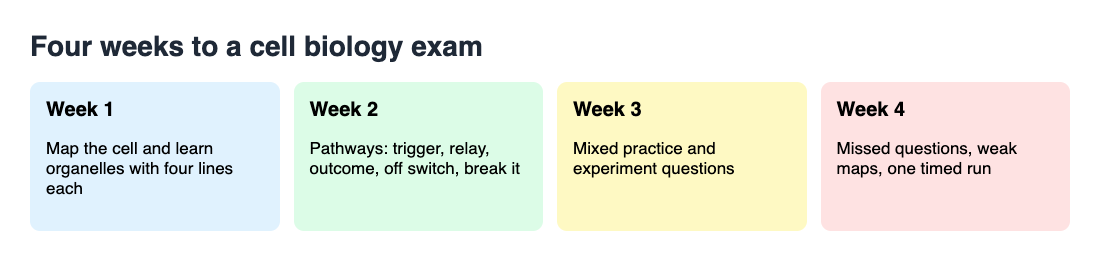 Four week study plan for a cell biology exam, from map and organelles to pathways, mixed practice and gaps