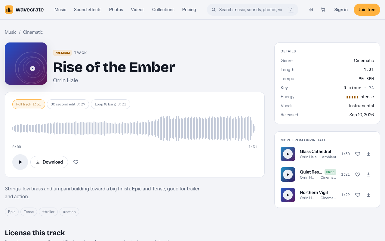 Wavecrate page for the Rise of the Ember track showing its waveform, 90 BPM, D minor and Intense energy