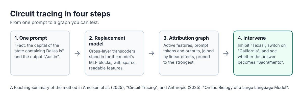 Four step diagram of circuit tracing: pick a prompt, build the replacement model, draw the attribution graph, test by intervening