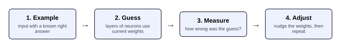 Four steps of training a neural network: example, guess, measure, adjust the weights