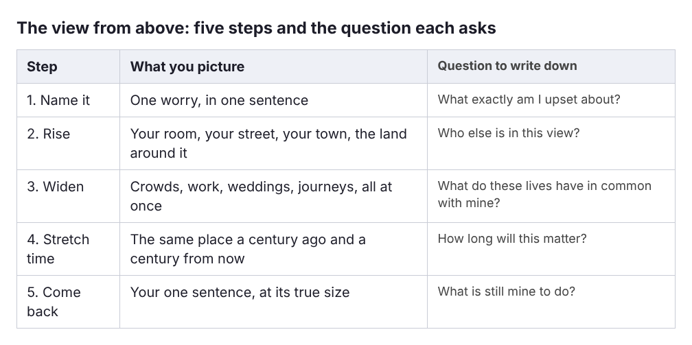 Table of the five steps of the view from above, from naming one worry to coming back to what is still yours to do