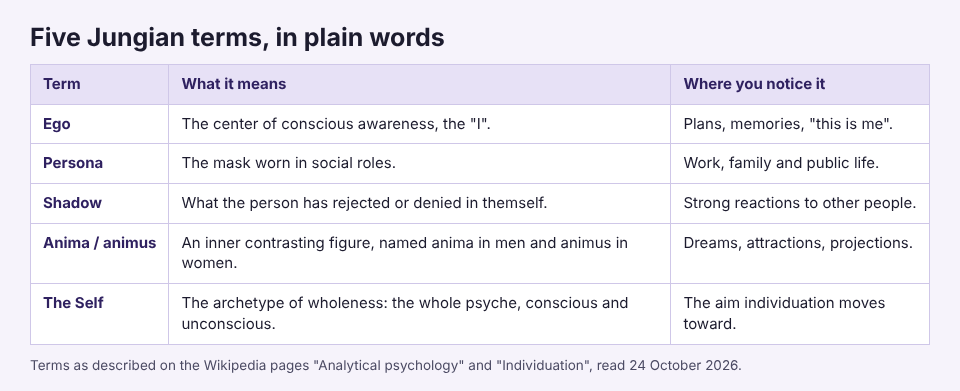 Table of five Jungian terms: ego, persona, shadow, anima and animus, and the Self, each with a plain meaning