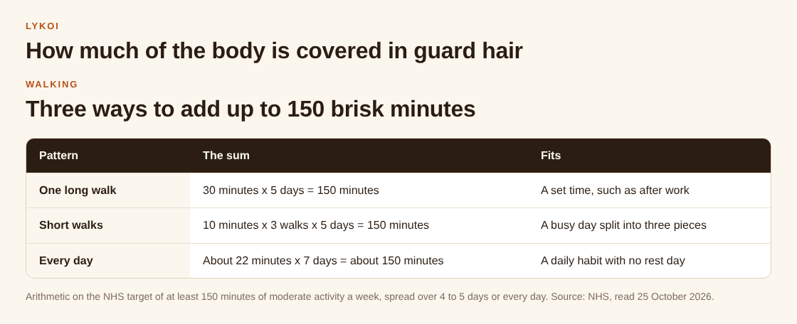 Table of three ways to add up to 150 brisk walking minutes a week: five 30 minute walks, fifteen 10 minute walks, or about 22 minutes every day
