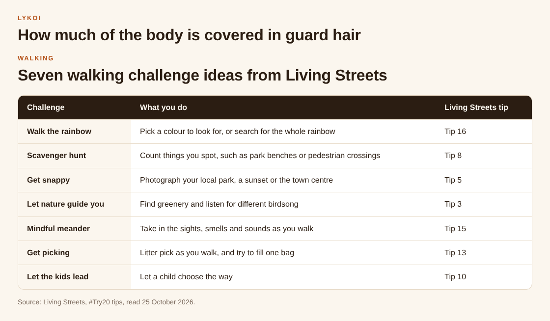 Table of seven walking challenge ideas from Living Streets: walk the rainbow, scavenger hunt, get snappy, nature, mindful meander, litter picking and let the kids lead