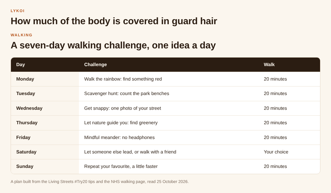Table of a seven-day walking challenge with one idea a day: rainbow, scavenger hunt, photo, nature, mindful meander, a day led by someone else, and a faster repeat