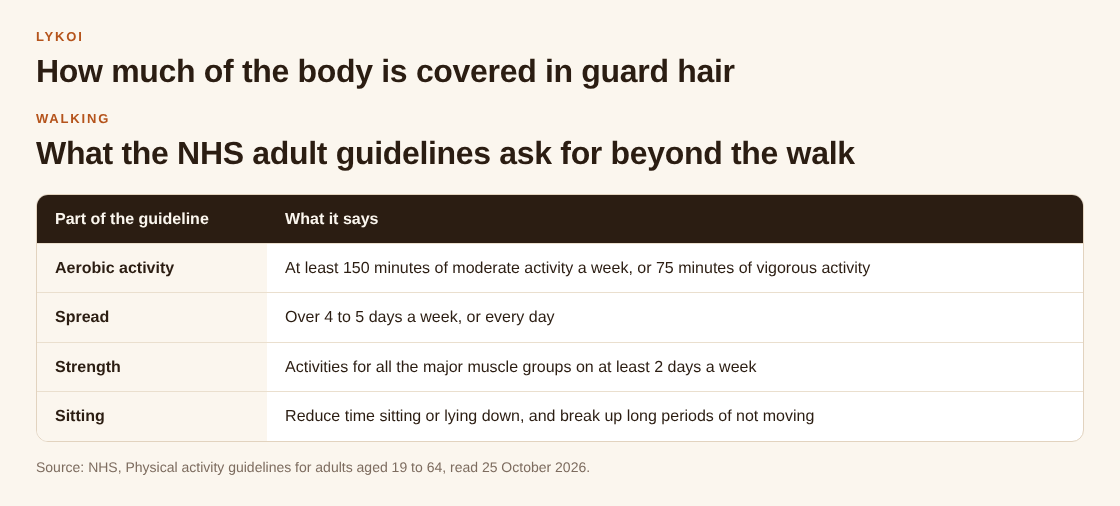 Table of the NHS adult guidelines: aerobic minutes, spread across the week, strength on two days and less sitting