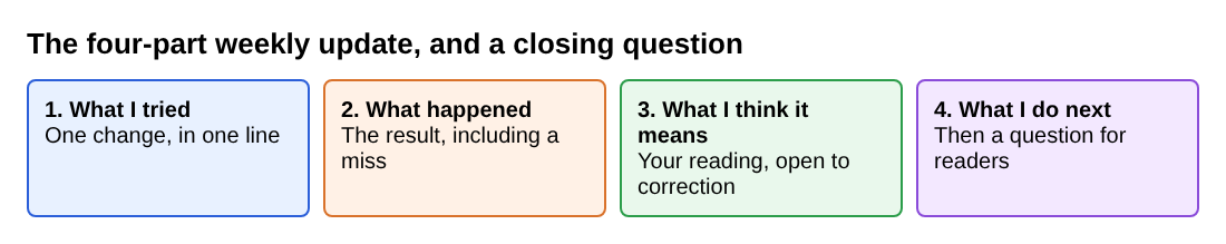 Diagram of the four parts of a weekly update: what I tried, what happened, what it means and what I do next