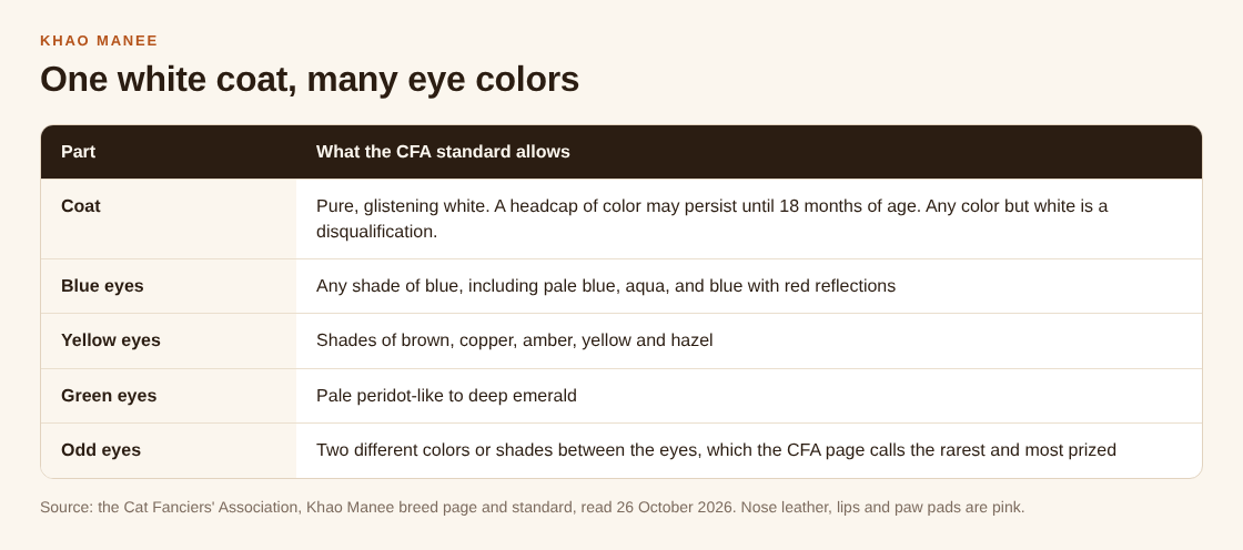 Table of the white coat and the blue, yellow, green and odd eye colors the CFA standard allows for the Khao Manee