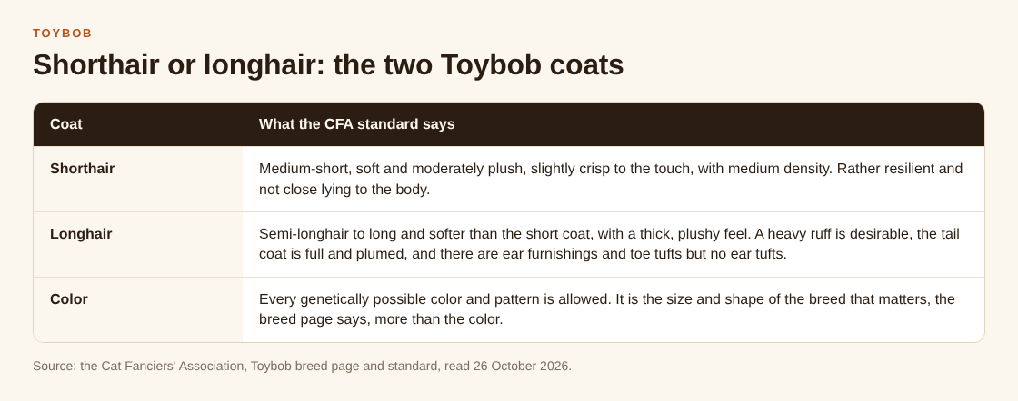 Table comparing the shorthair and longhair Toybob coats as the CFA standard describes them