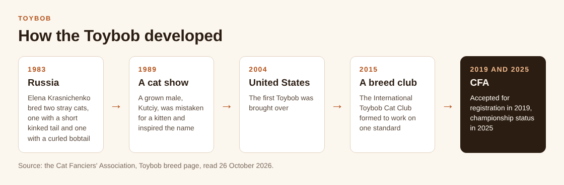 Timeline of the Toybob from Russia in 1983 to CFA registration in 2019 and championship status in 2025