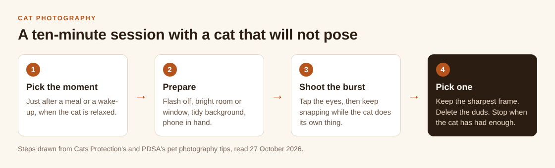 Four-step flow from picking the moment to preparing, shooting a burst and choosing one frame