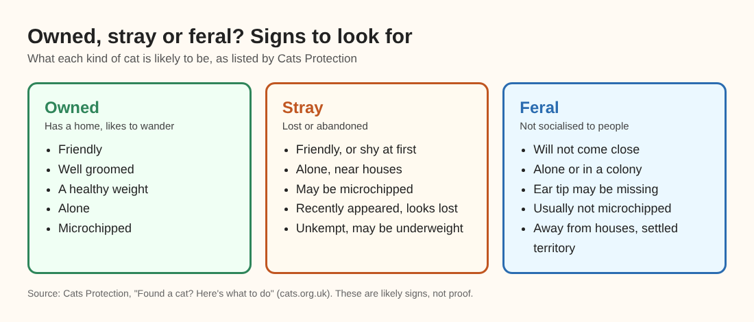 Diagram comparing the likely signs of an owned, a stray and a feral cat