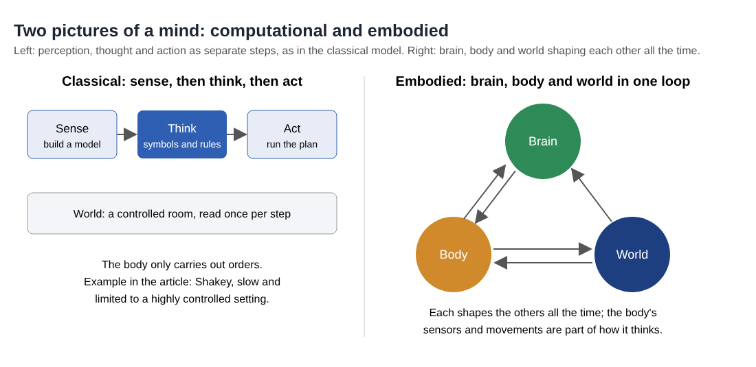 Diagram contrasting the classical sense, think, act pipeline with the embodied view where brain, body and world shape each other in a loop