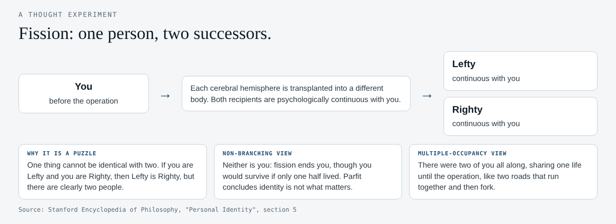 Diagram of the fission thought experiment: one person whose two brain hemispheres go to Lefty and Righty, with the non-branching and multiple-occupancy answers