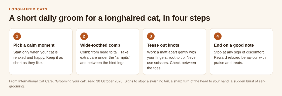 Four step cards for a daily groom of a longhaired cat: calm moment, wide-toothed comb, tease out knots, end on a good note